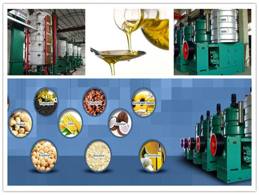 máquina expulsora de aceite de palma máquina de refinería de petróleo en uruguay