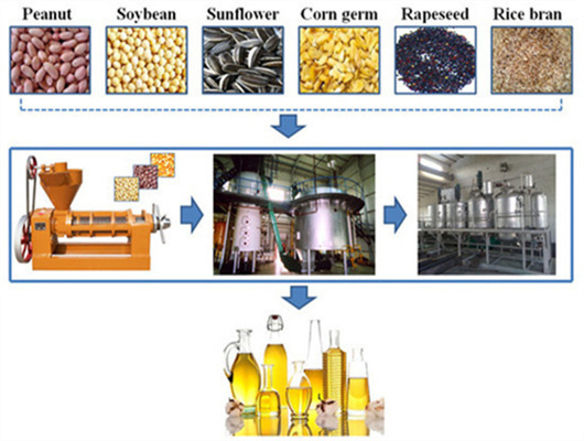 Planta de refinación de aceite de palma de 10tpd en ecuador