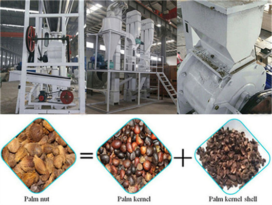 Planta de extracción de aceite de girasol fácil de operar en Honduras